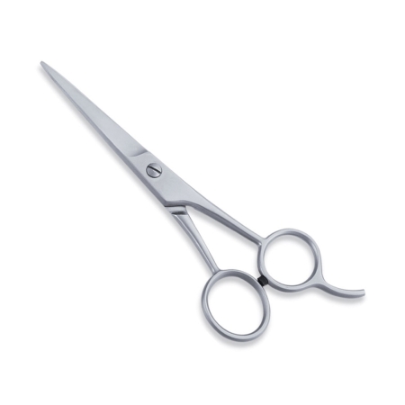 Economy Hair Scissors